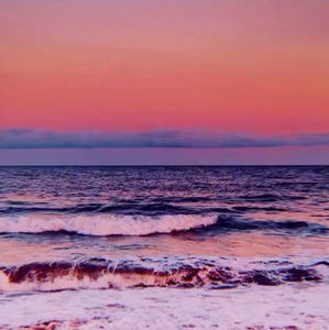 Meet your Posher, Sofia